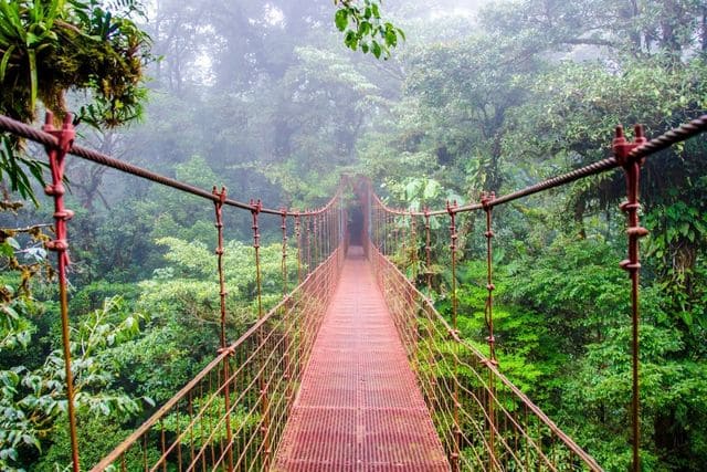 Costa Rica Parque Nacional Monteverde