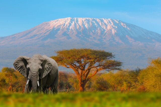 Tanzânia Kilimanjaro
