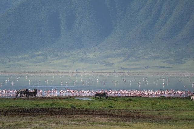 Tanzânia Cratera Ngorongoro