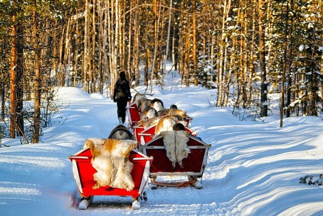 Finlândia Passeio de Rena Rovaniemi