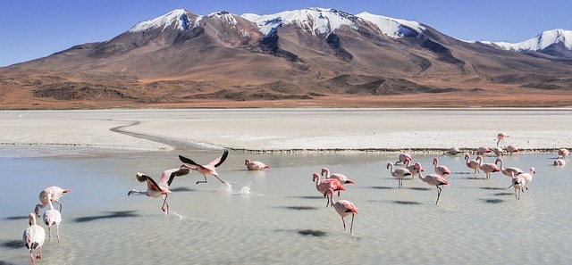 Salar-de-atacama-chile
