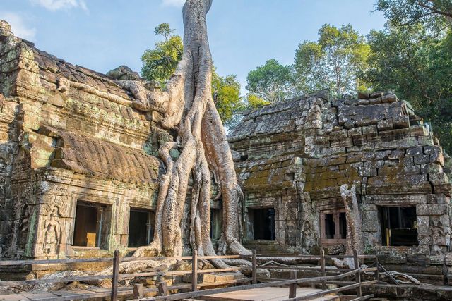 Cambodja Ta Prohm Temple