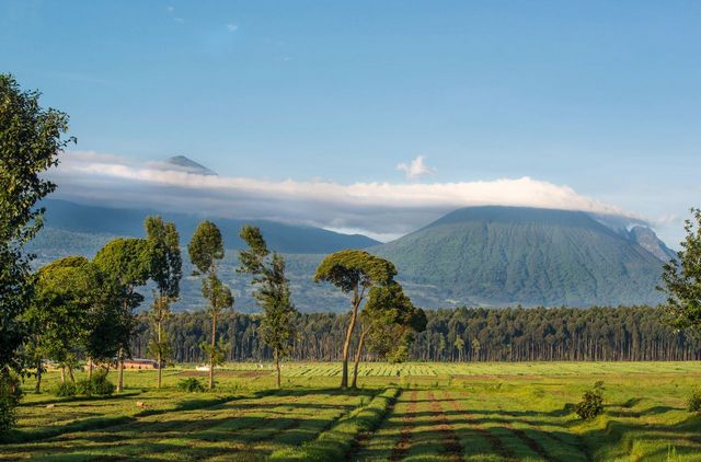 Ruanda Parque Nacional Vulcões