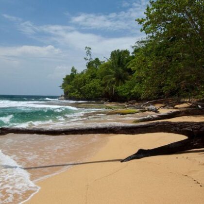 Panamá Bocas del Toro
