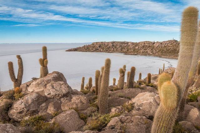 Bolívia Ilha Incahuasi Salar Uyuni