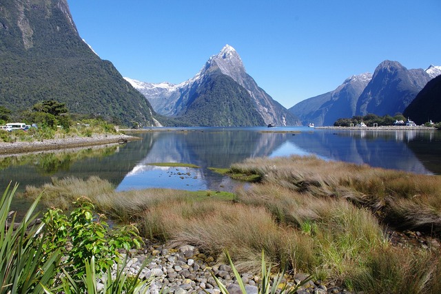 Nova Zelândia Milford Sound